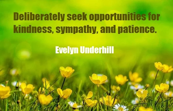 kata mutiara bahasa Inggris tentang simpati (sympathy) - 3: Deliberately seek opportunities for kindness, sympathy, and patience. Evelyn Underhill