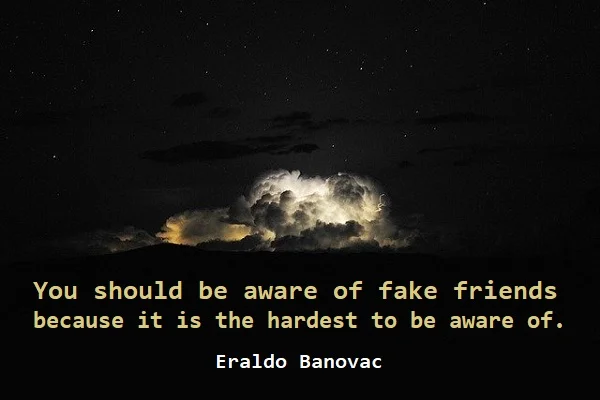 kata mutiara bahasa Inggris tentang teman palsu (fake friend) - 3: You should be aware of fake friends because it is the hardest to be aware of. Eraldo Banovac