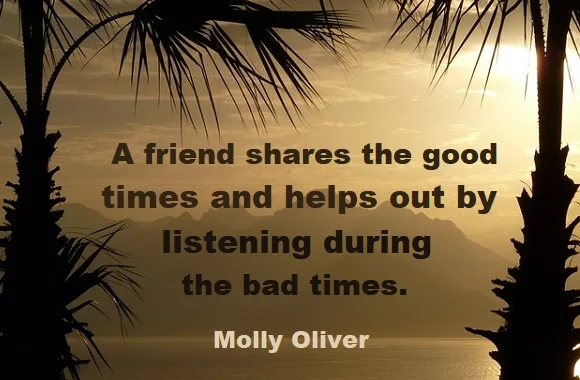 kata mutiara bahasa Inggris tentang teman sejati (true friends) - 4: A friend shares the good times and helps out by listening during the bad times. Molly Oliver