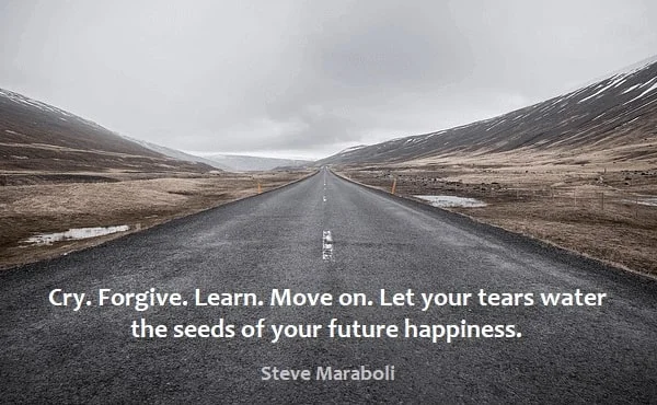 Kata Mutiara Bahasa Inggris tentang Terus Melangkah (Moving On): Cry. Forgive. Learn. Move on. Let your tears water the seeds of your future happiness. Steve Maraboli
