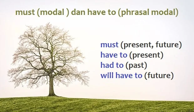 must (modal) dan have to (phrasal modal): *must (present, future) *have/has to (present) *had to (past) *will have to (future)