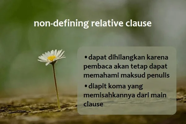 Non-defining relative clause dapat dihilangkan karena pembaca akan tetap dapat memahami maksud penulis. Relative clause ini diapit koma yang memisahkannya dari main clause.