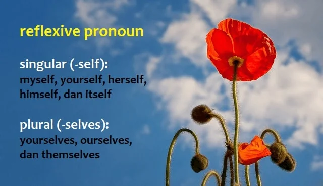 Singular reflexive pronoun (-self): myself, yourself, herself, himself, dan itself; plural reflexive pronoun (-selves): yourselves, ourselves, dan themselves